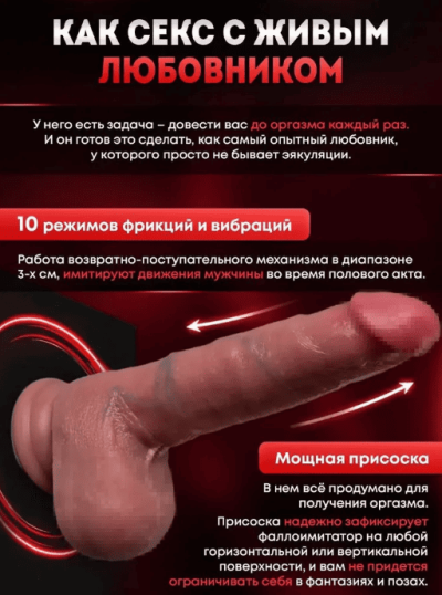 Реалистичный вибратор с фрикциями и подогревом L 19 см - Все компоненты набора: вибратор, пульт, лубрикант, зарядка в дизайнерской упаковке