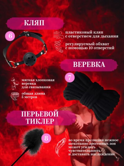 БДСМ-набор "Хулиганка" - Близкий кадр зажима для сосков и анальной пробки, демонстрирующие качество материалов.