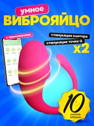 Виброяйцо для женщин с приложением